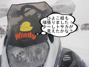 IMGP5446.JPG