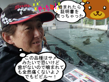 BlogPaint