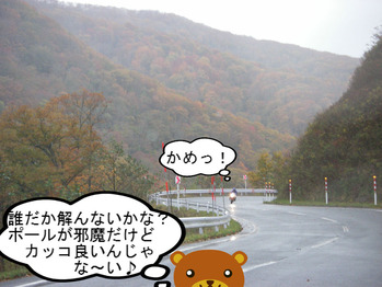 IMGP8540.JPG