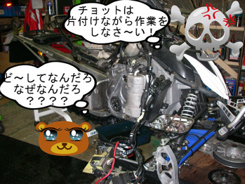 IMGP5182.JPG