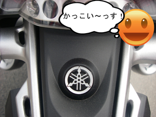 IMGP4098.JPG