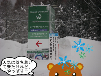 IMGP8974.JPG