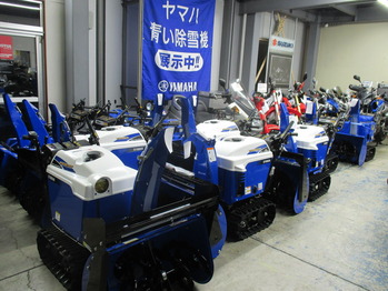 �����ݎÎގ�Ź��