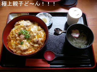 IMGP4403.JPG