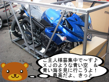 IMGP5621.JPG