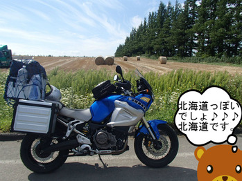 BlogPaint