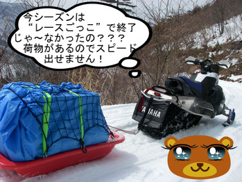 IMGP7508.JPG