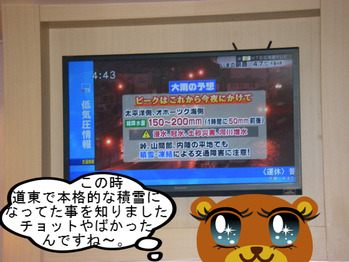 IMGP0257.JPG
