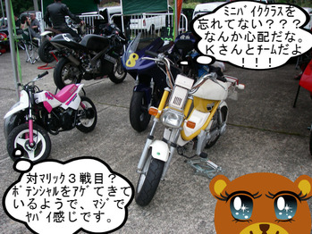 IMGP0034.JPG