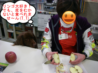 IMGP3565.JPG