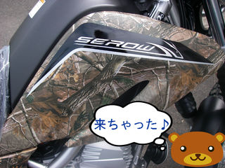 IMGP4404.JPG