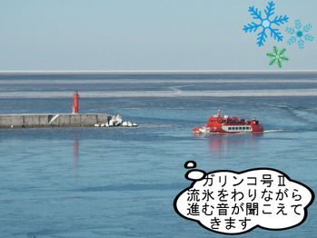IMGP7231.JPG