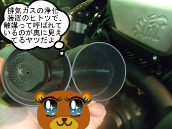 BlogPaint