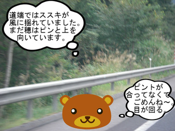 IMGP8376.JPG