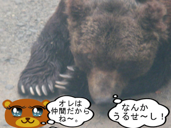 IMGP8124.JPG