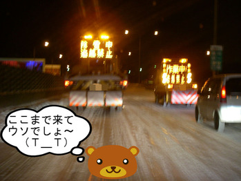 IMGP5557.JPG