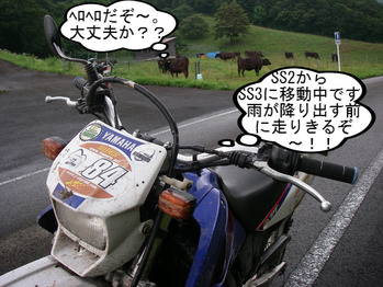 IMGP7994.JPG