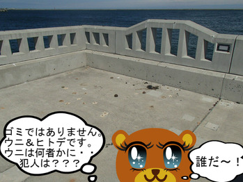 BlogPaint