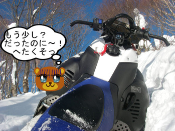IMGP5379.JPG
