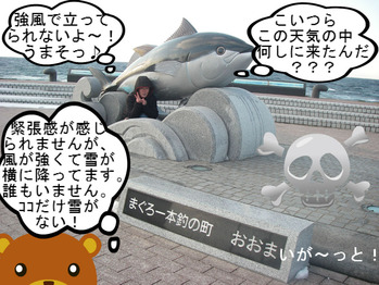 IMGP8959.JPG