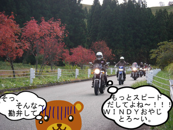 IMGP0349.JPG