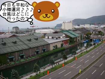 IMGP0246.JPG