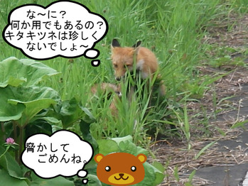 IMGP8177.JPG