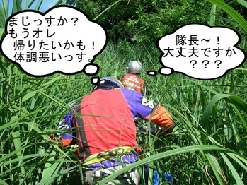 IMGP6166.JPG