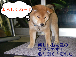 IMGP3575.JPG