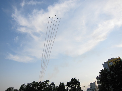 B20140531A