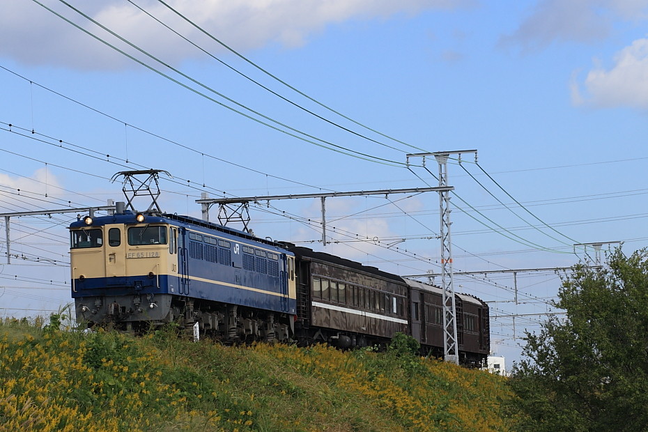 65_20220619