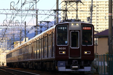 HK8000_20240104