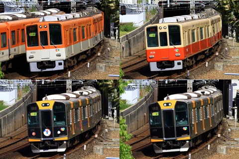 hsXXXX_20250915x