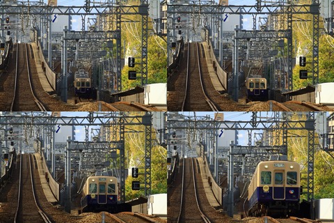 hs5000_20231119ax