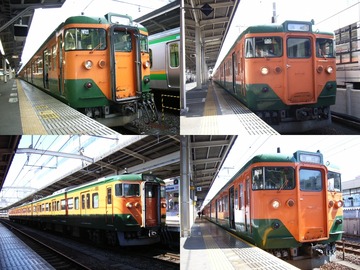 113_20060319Z