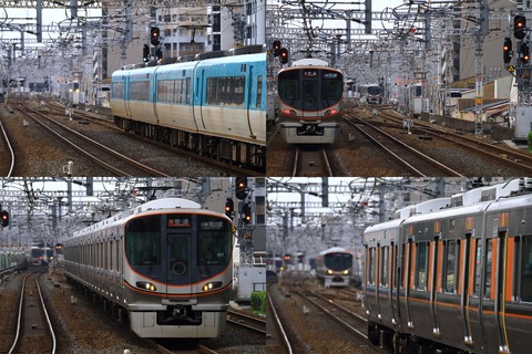 noda20250811