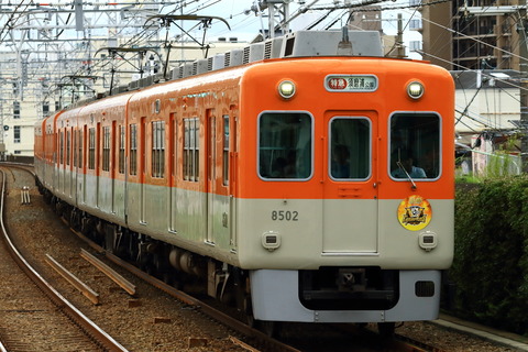 HS8000_20250913