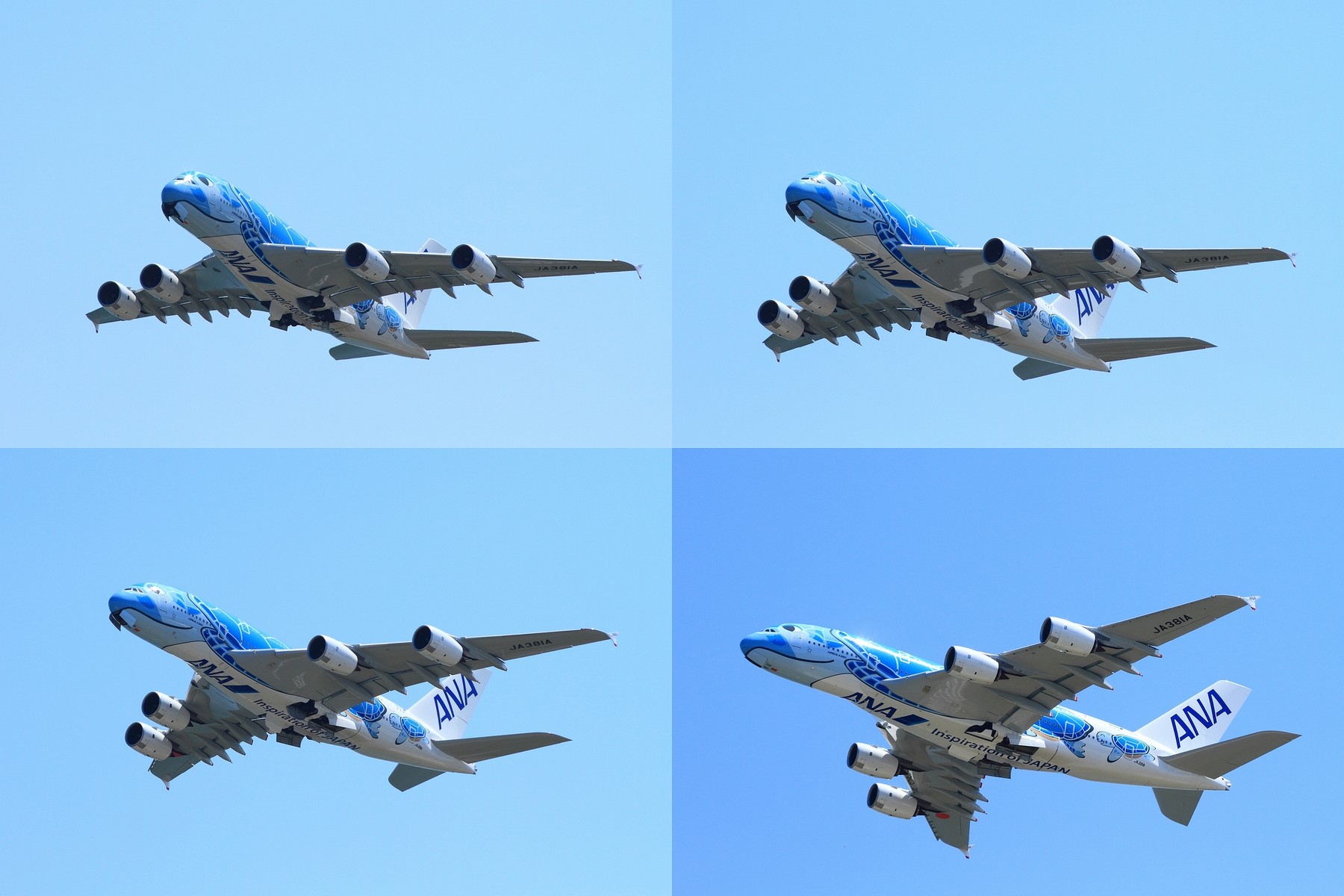 ANA HAWAii AIRBUS A380 大きけれ FLYING HONU 模型 ANA HAWAii AIRBUS A380 大きけれ FLYING HONU 模型