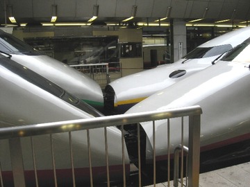 20070305B