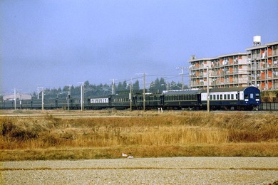 Rs65xORE_198812a2