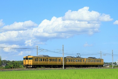 rs115_20180825a