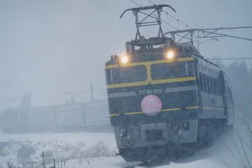 81tw_199201c
