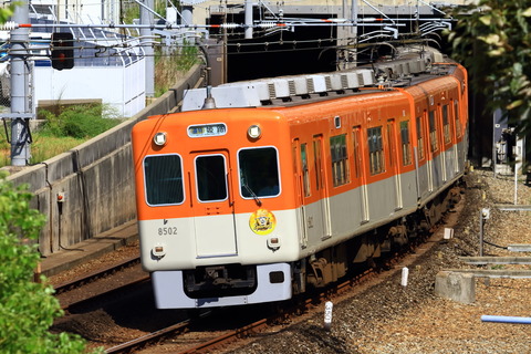 hs8000_20250915x01