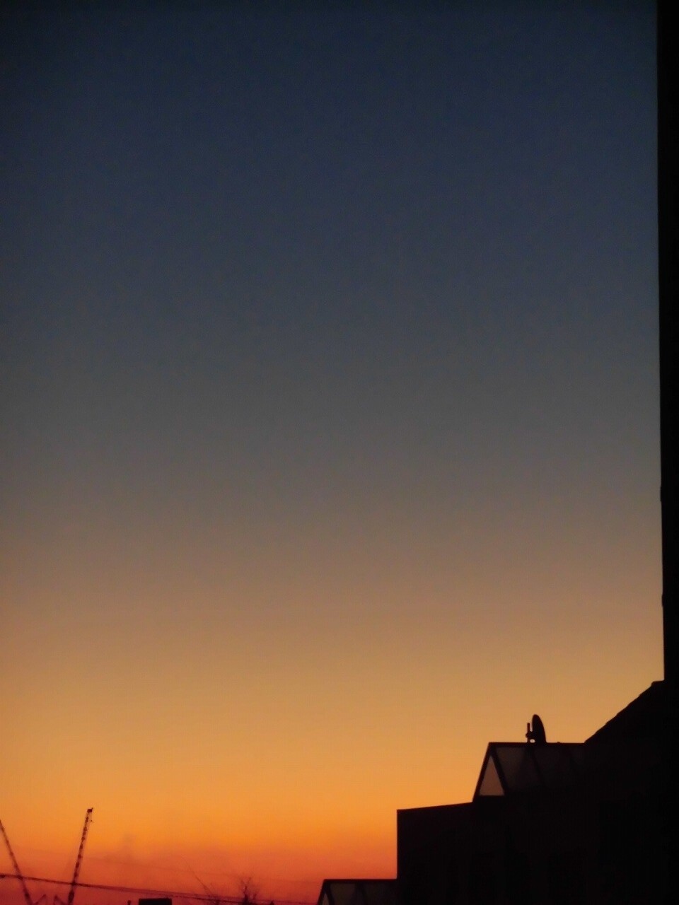 金魚水槽リセット冬 裏同心のブログ