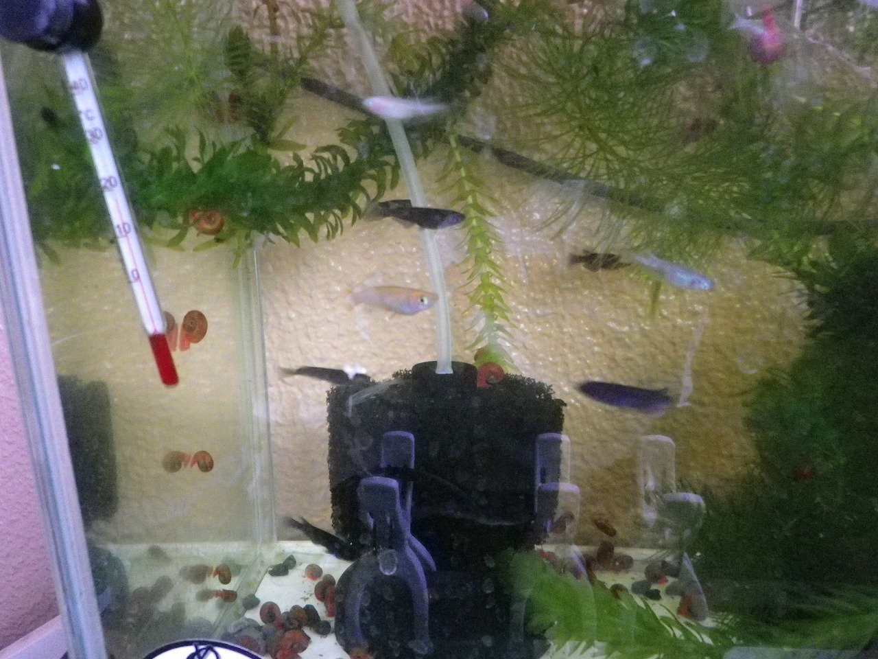 近況報告 裏同心のブログ