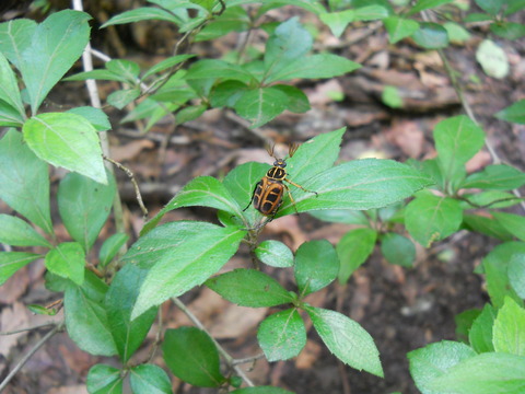 DSCN3180