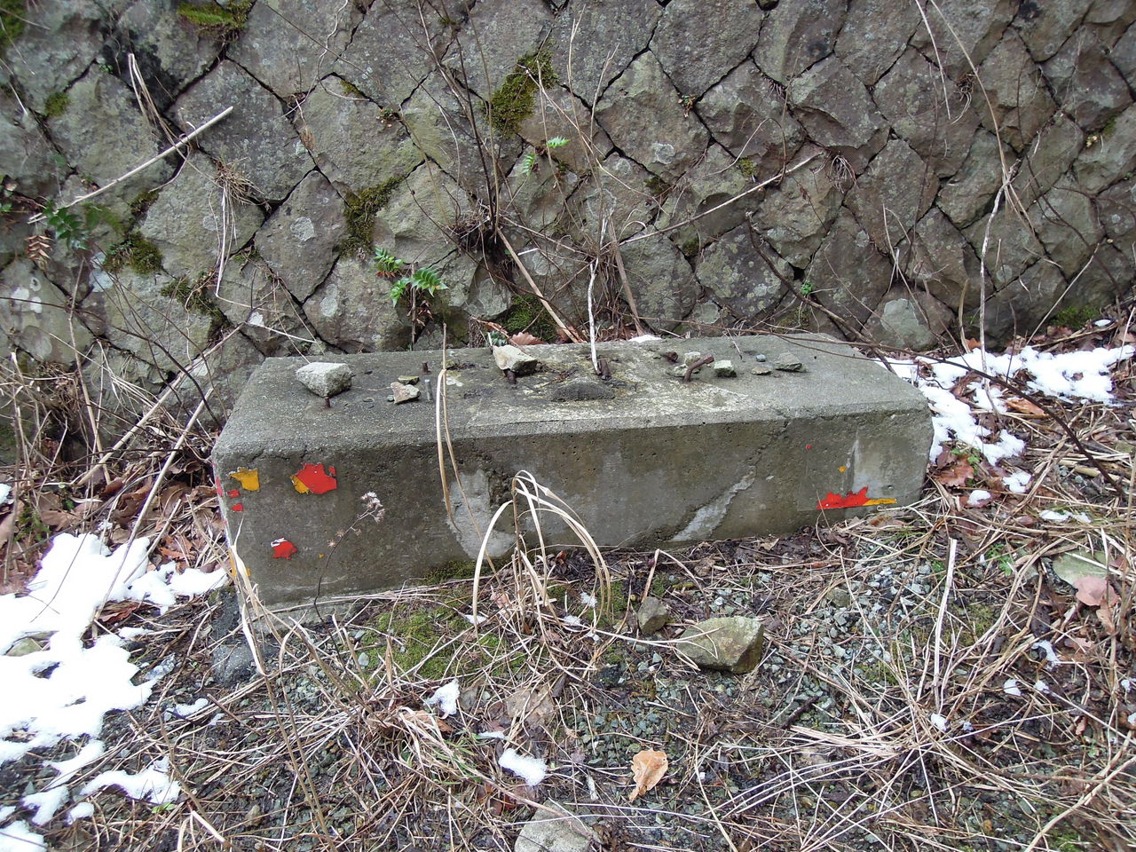 DSCN3077