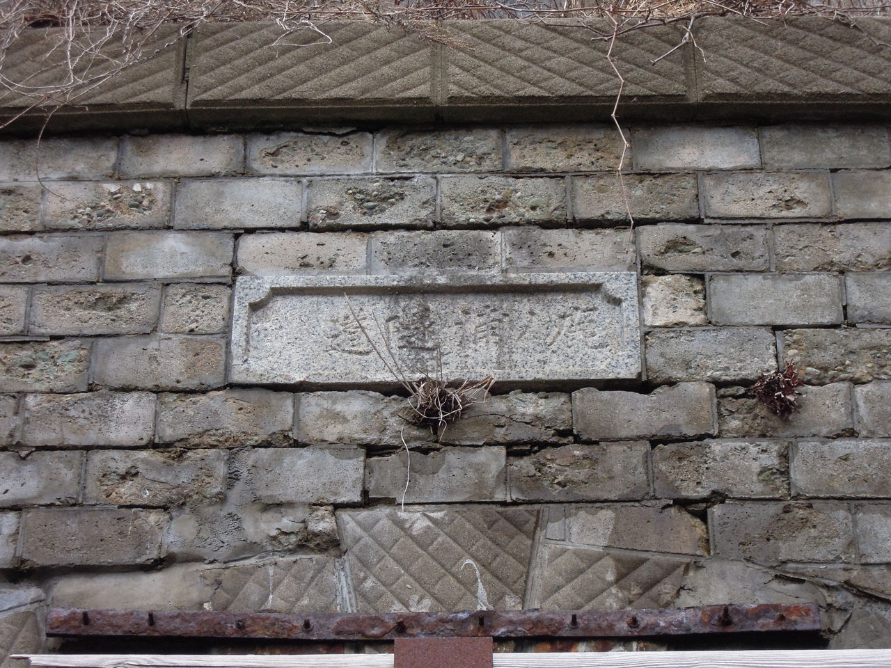 DSCN3094