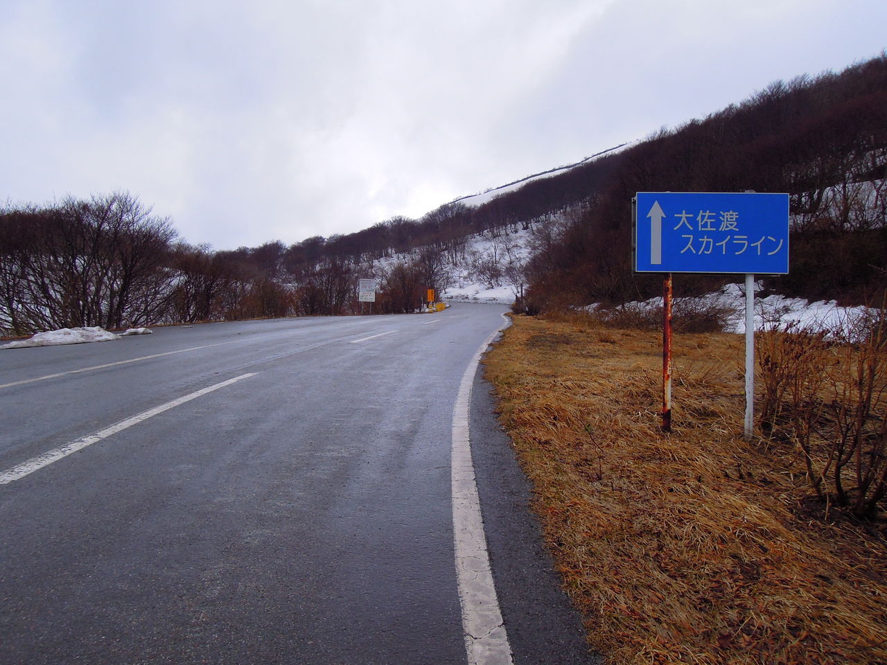 DSCN8109