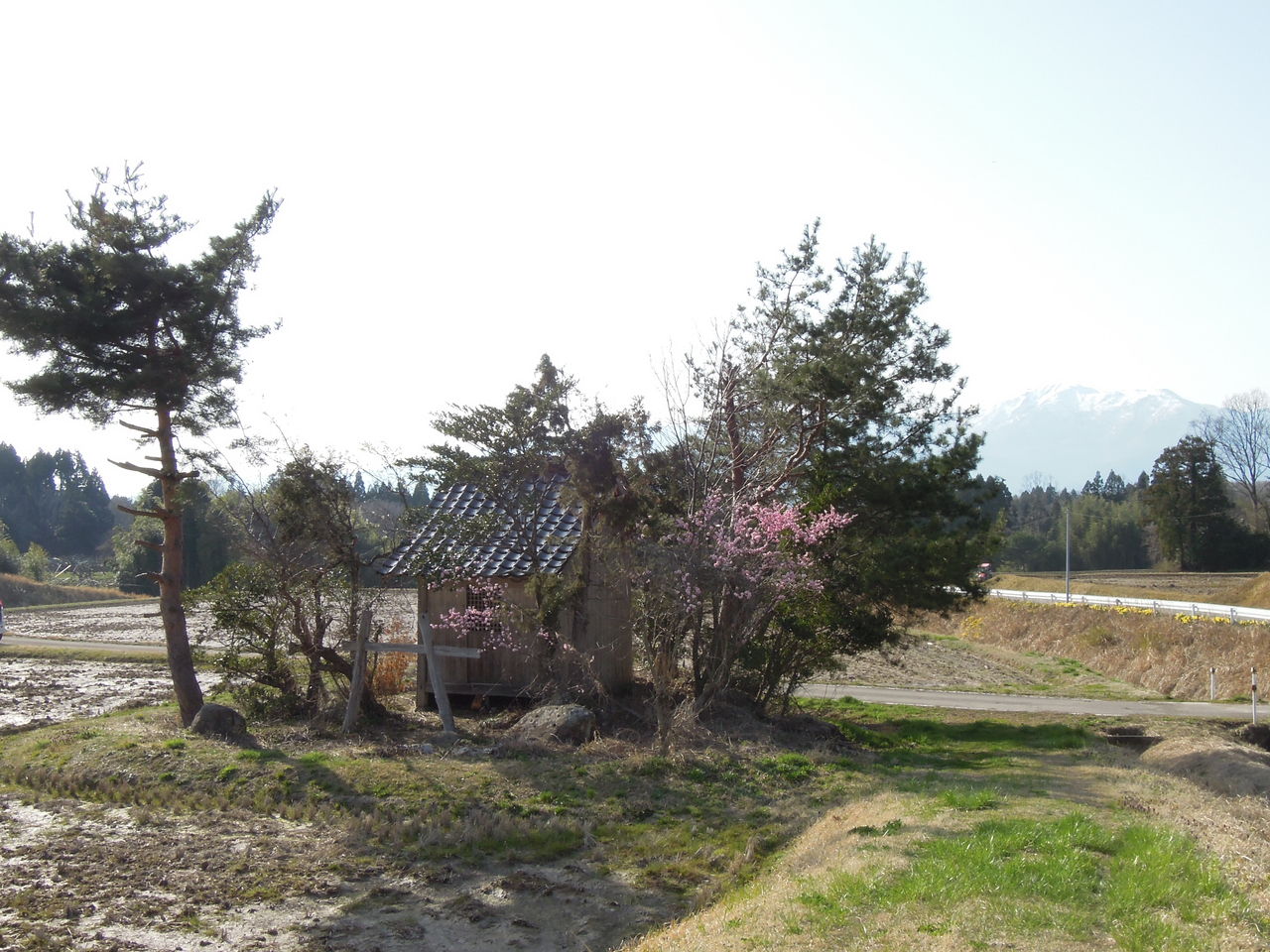 DSCN2110